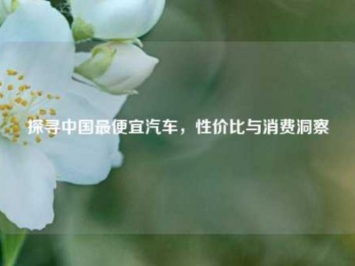 探寻中国最便宜汽车，性价比与消费洞察