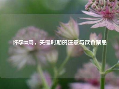怀孕38周，关键时期的注意与饮食禁忌