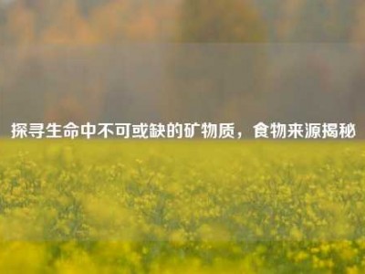 探寻生命中不可或缺的矿物质，食物来源揭秘