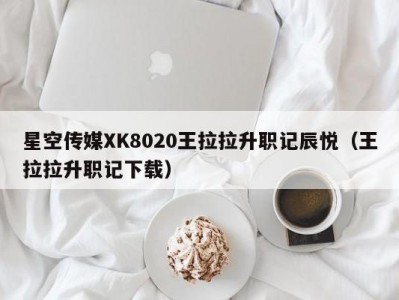 星空传媒XK8020王拉拉升职记辰悦（王拉拉升职记下载）
