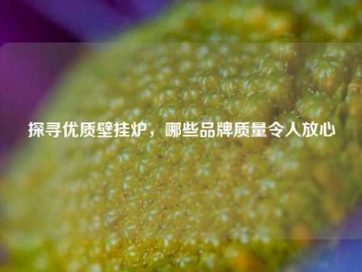 探寻优质壁挂炉，哪些品牌质量令人放心