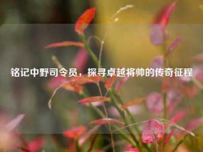 铭记中野司令员，探寻卓越将帅的传奇征程
