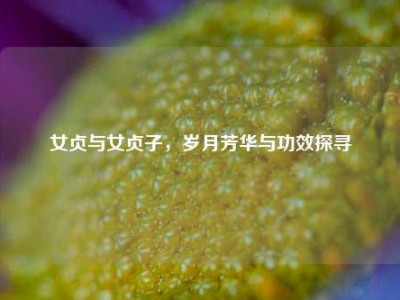 女贞与女贞子，岁月芳华与功效探寻