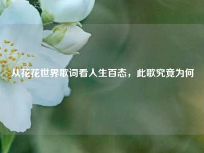从花花世界歌词看人生百态，此歌究竟为何