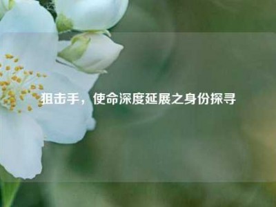 狙击手，使命深度延展之身份探寻