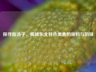 探寻酸汤子，揭秘东北特色美食的原料与韵味