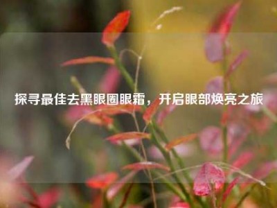 探寻最佳去黑眼圈眼霜，开启眼部焕亮之旅