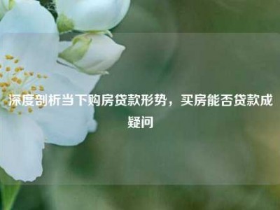 深度剖析当下购房贷款形势，买房能否贷款成疑问