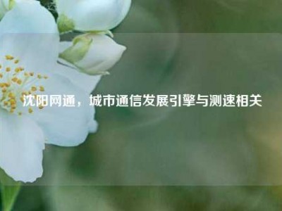 沈阳网通，城市通信发展引擎与测速相关
