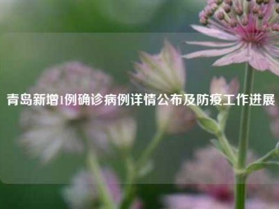 青岛新增1例确诊病例详情公布及防疫工作进展