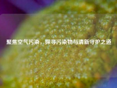 聚焦空气污染，探寻污染物与清新守护之道