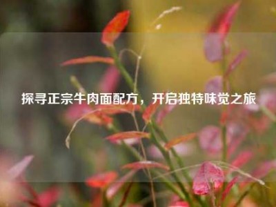 探寻正宗牛肉面配方，开启独特味觉之旅