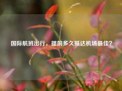 国际航班出行，提前多久抵达机场最佳？