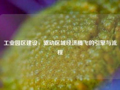 工业园区建设，驱动区域经济腾飞的引擎与流程