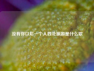 没有你以后一个人四处旅游是什么歌
