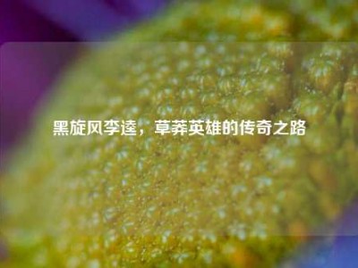 黑旋风李逵，草莽英雄的传奇之路