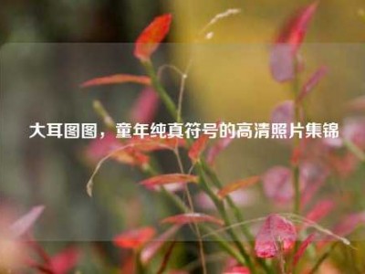 大耳图图，童年纯真符号的高清照片集锦