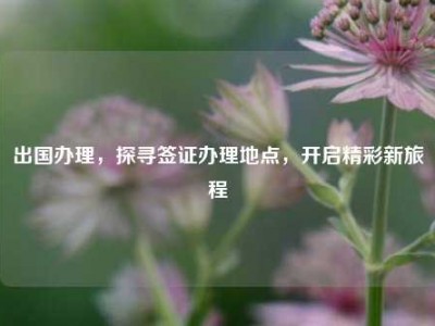 出国办理，探寻签证办理地点，开启精彩新旅程