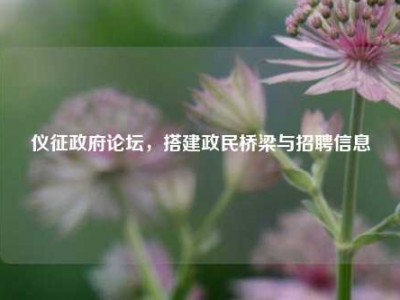 仪征政府论坛，搭建政民桥梁与招聘信息