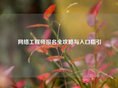 网络工程师报名全攻略与入口指引