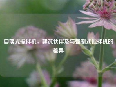 自落式搅拌机，建筑伙伴及与强制式搅拌机的差异