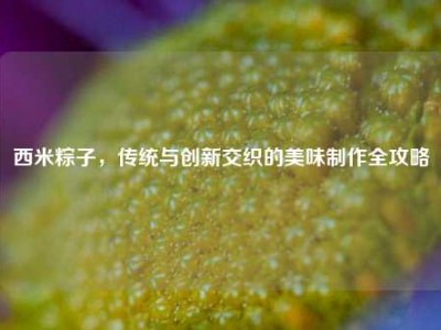 西米粽子，传统与创新交织的美味制作全攻略