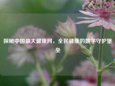 探秘中国最大健康网，全民健康的数字守护堡垒
