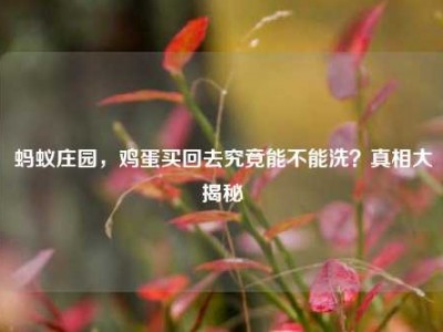 蚂蚁庄园，鸡蛋买回去究竟能不能洗？真相大揭秘
