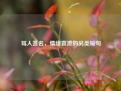 骂人签名，情绪宣泄的另类短句