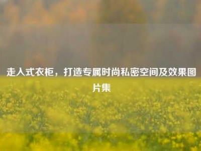 走入式衣柜，打造专属时尚私密空间及效果图片集