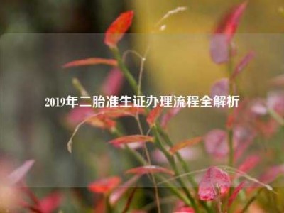 2019年二胎准生证办理流程全解析