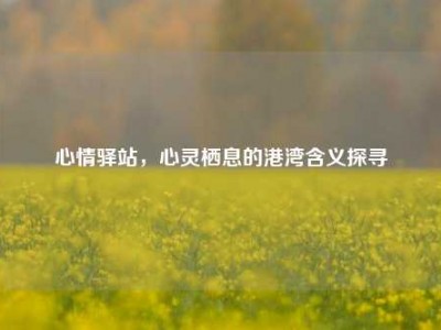 心情驿站，心灵栖息的港湾含义探寻