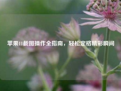 苹果11截图操作全指南，轻松定格精彩瞬间
