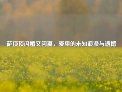 萨顶顶闪婚又闪离，爱里的未知浪漫与遗憾