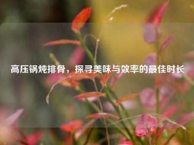高压锅炖排骨，探寻美味与效率的最佳时长