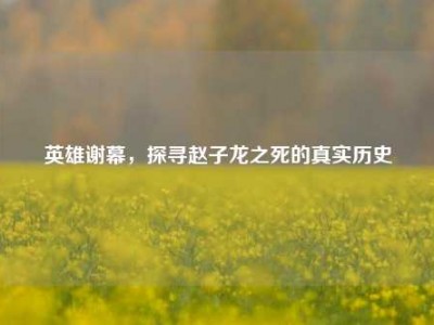 英雄谢幕，探寻赵子龙之死的真实历史