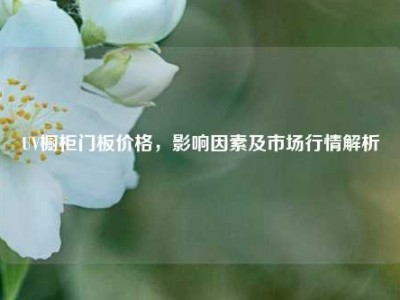 UV橱柜门板价格，影响因素及市场行情解析