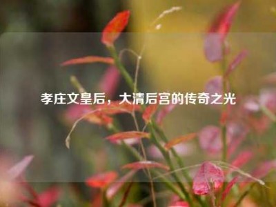 孝庄文皇后，大清后宫的传奇之光