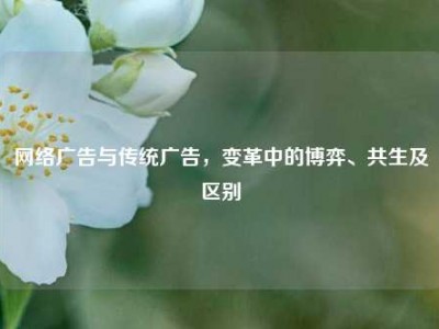 网络广告与传统广告，变革中的博弈、共生及区别