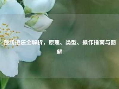 跳线接法全解析，原理、类型、操作指南与图解