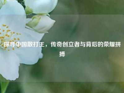 探寻中国散打王，传奇创立者与背后的荣耀拼搏