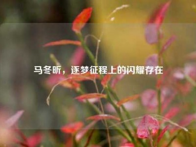 马冬昕，逐梦征程上的闪耀存在