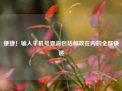 便捷！输入手机号查询包括邮政在内的全部快递