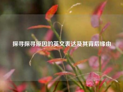 探寻探寻原因的英文表达及其背后缘由