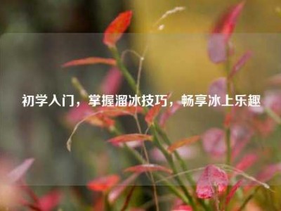 初学入门，掌握溜冰技巧，畅享冰上乐趣