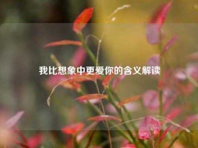 我比想象中更爱你的含义解读