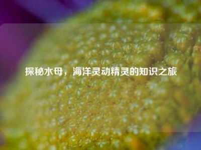 探秘水母，海洋灵动精灵的知识之旅