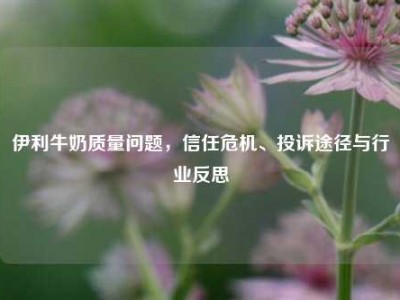 伊利牛奶质量问题，信任危机、投诉途径与行业反思