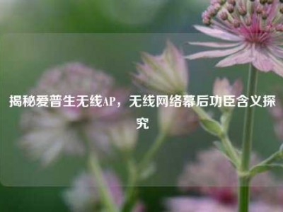 揭秘爱普生无线AP，无线网络幕后功臣含义探究