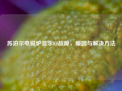 苏泊尔电磁炉显示E1故障，原因与解决方法